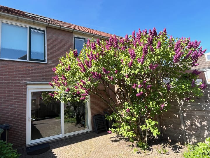 Foto 5 van Veenweidestraat 31