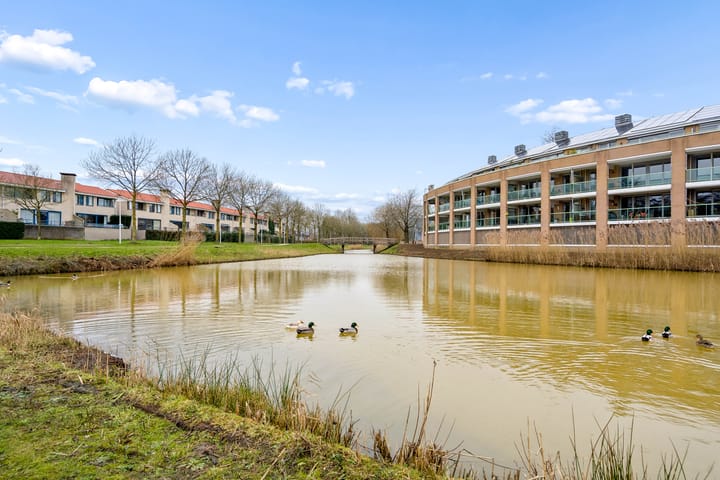 Foto 59 van Woelmuisakker 2