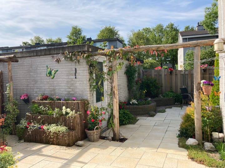 Foto 64 van Woelmuisakker 2