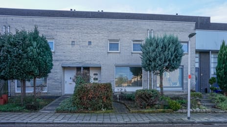 Rubensstraat thumbnail