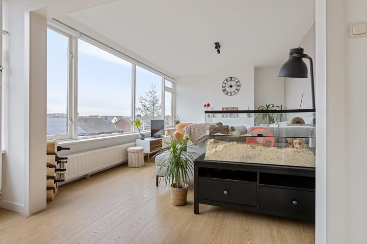 Foto 12 van Koornstraat 117