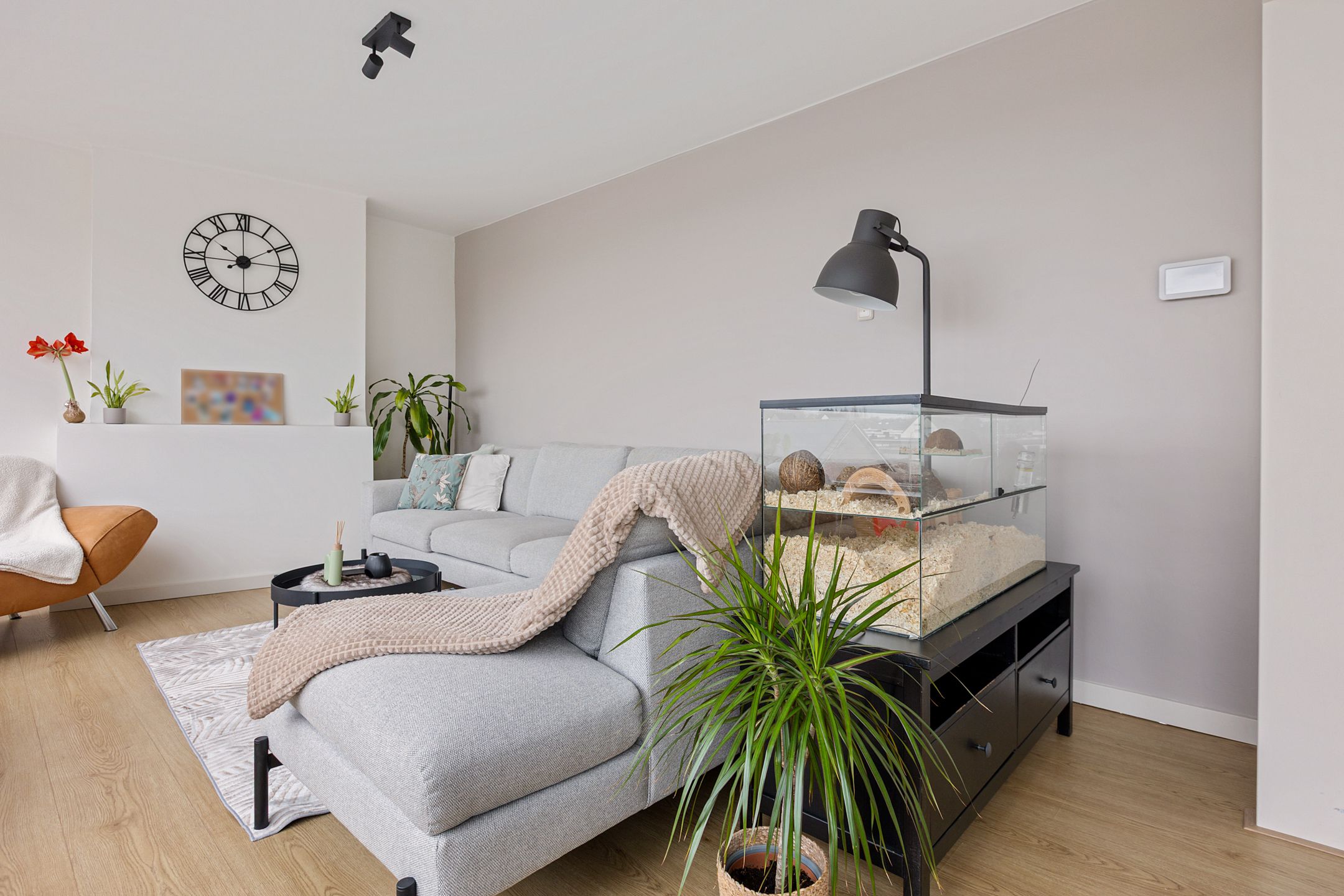 Foto 12 van Koornstraat 117