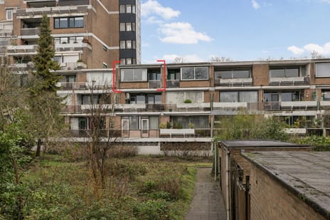 undefined main image