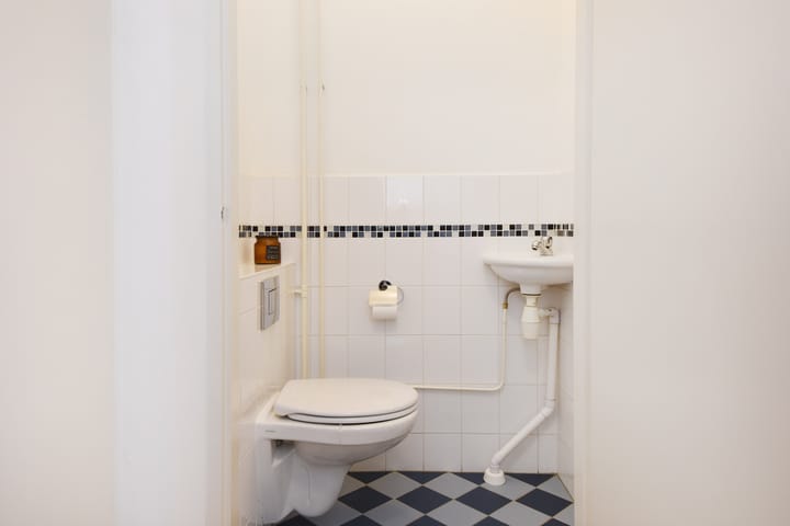 Foto 7 van Tulpentuin 161