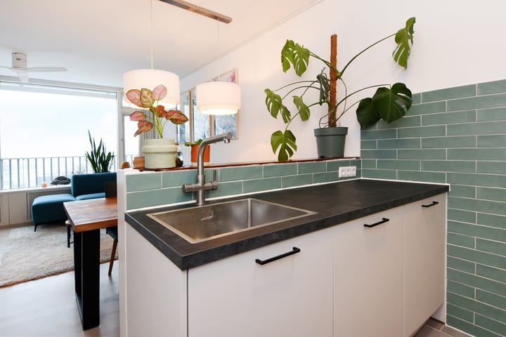 Foto 15 van Tulpentuin 161