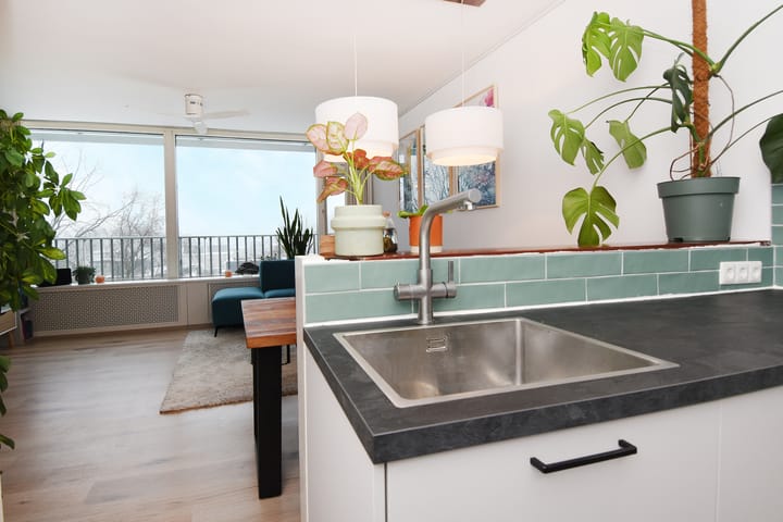 Foto 17 van Tulpentuin 161