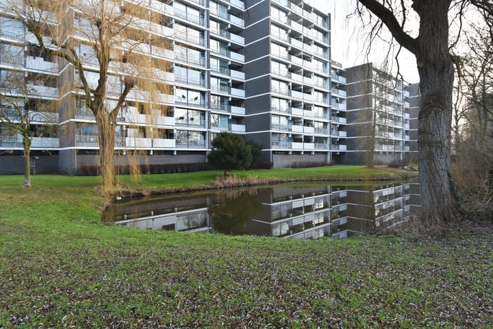 Foto 35 van Tulpentuin 161