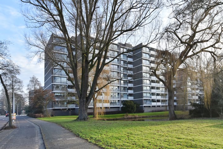 Foto 36 van Tulpentuin 161