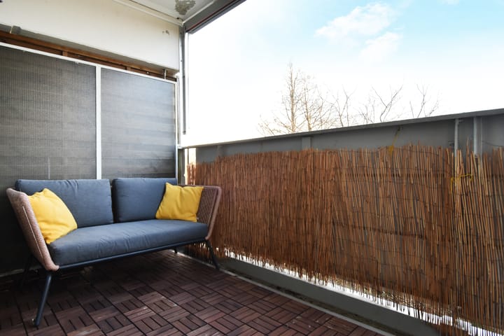 Foto 38 van Tulpentuin 161