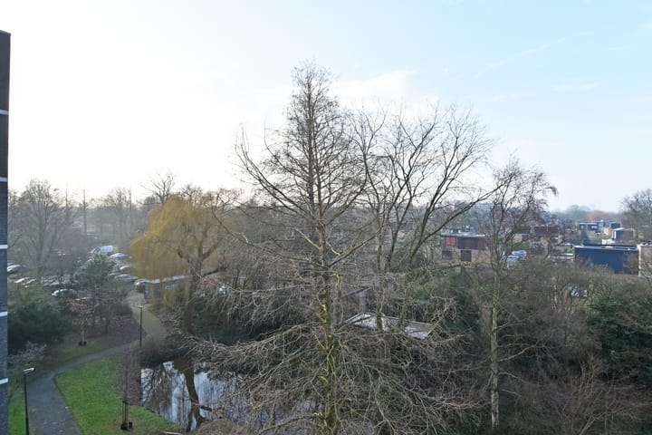 Foto 40 van Tulpentuin 161