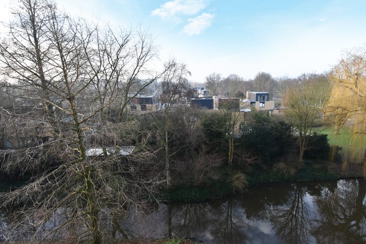 Foto 41 van Tulpentuin 161