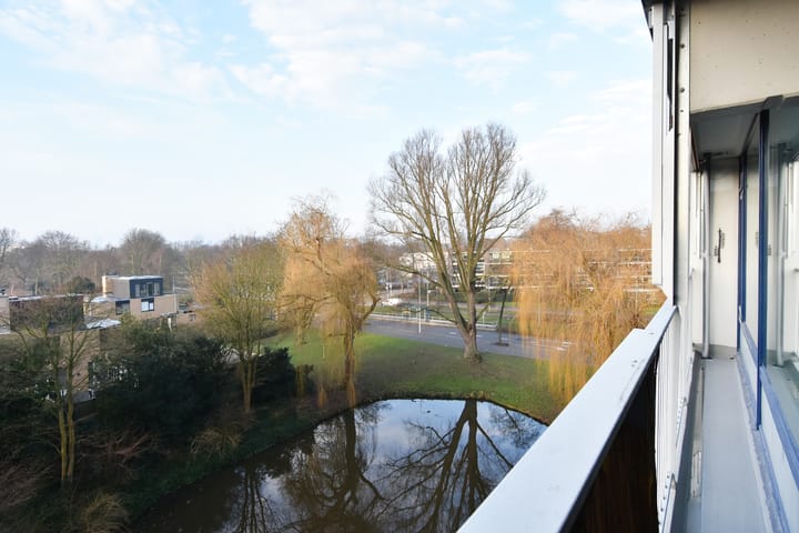 Foto 42 van Tulpentuin 161