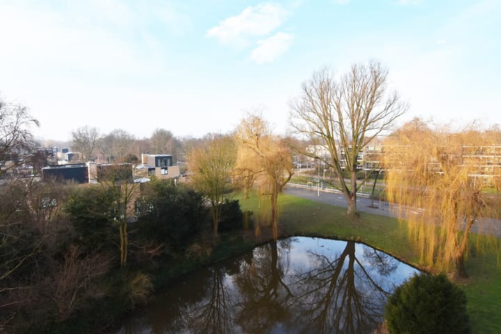 Foto 43 van Tulpentuin 161