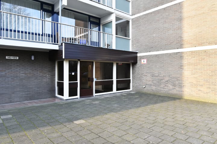 Foto 44 van Tulpentuin 161