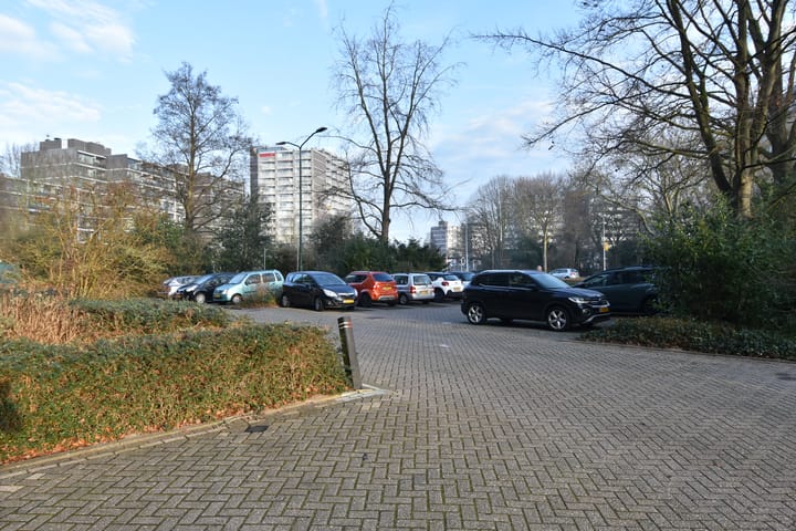 Foto 45 van Tulpentuin 161