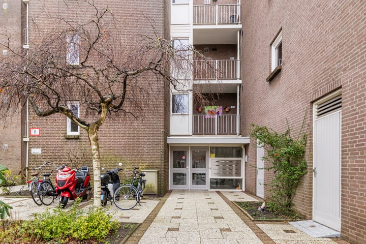 Foto 2 van Elzekrulzoom 55