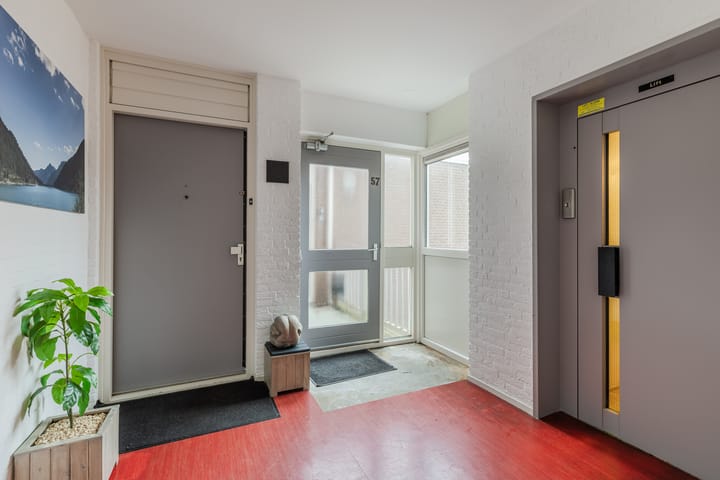 Foto 6 van Elzekrulzoom 55