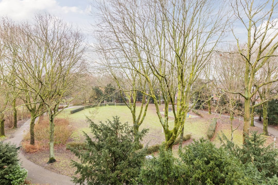 Foto 46 van Elzekrulzoom 55