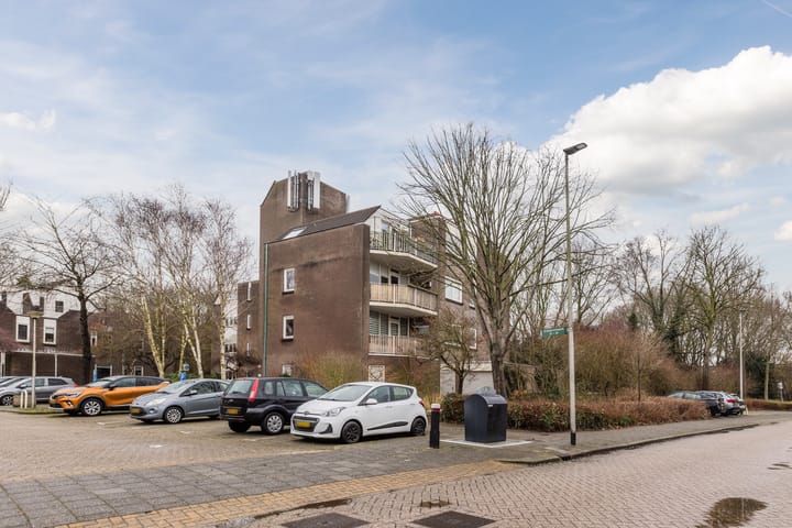 Foto 50 van Elzekrulzoom 55