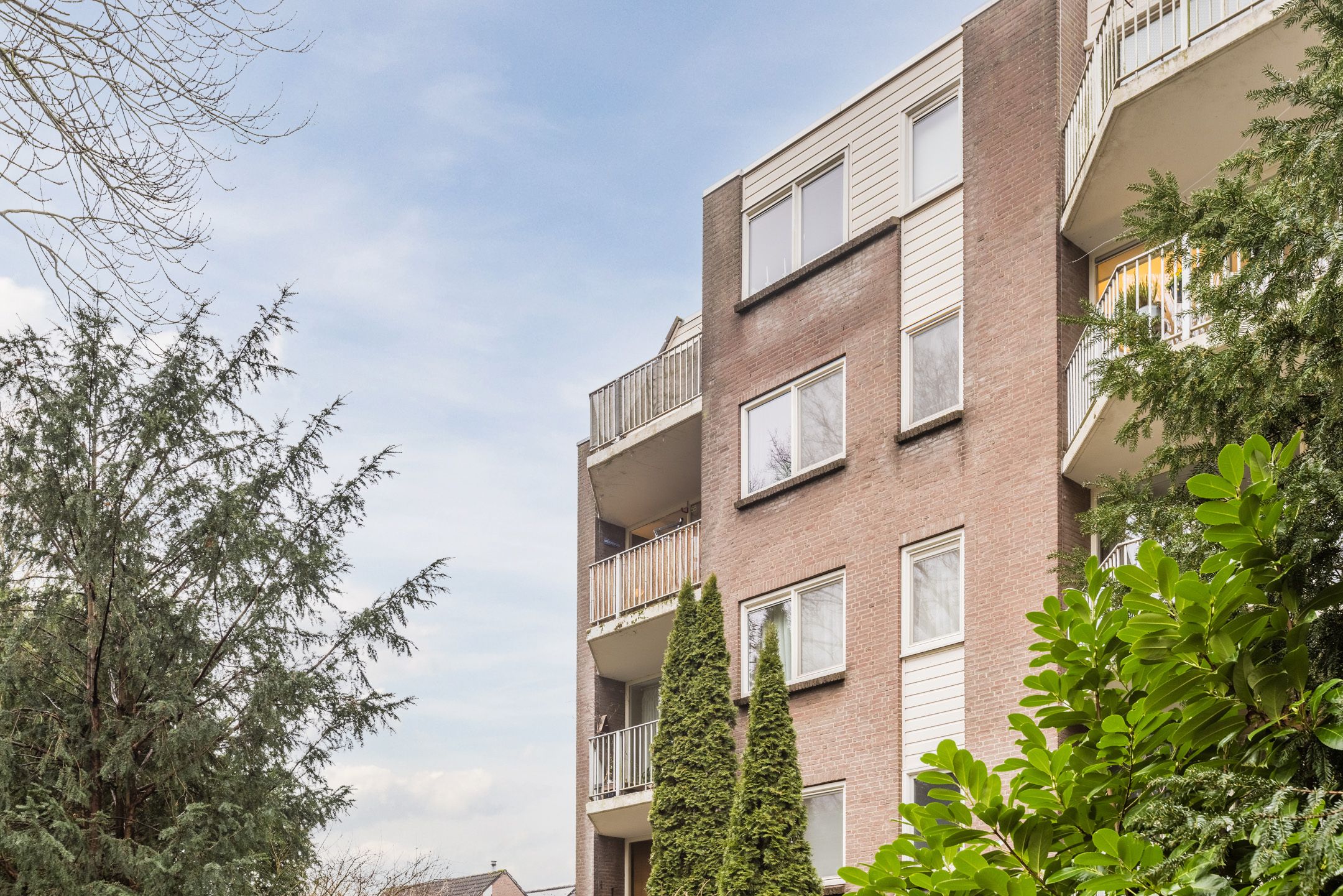 Foto 51 van Elzekrulzoom 55