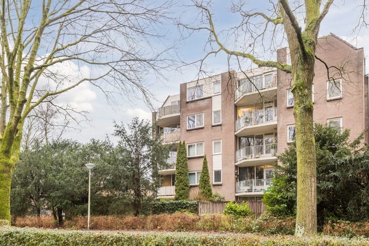 Foto 52 van Elzekrulzoom 55