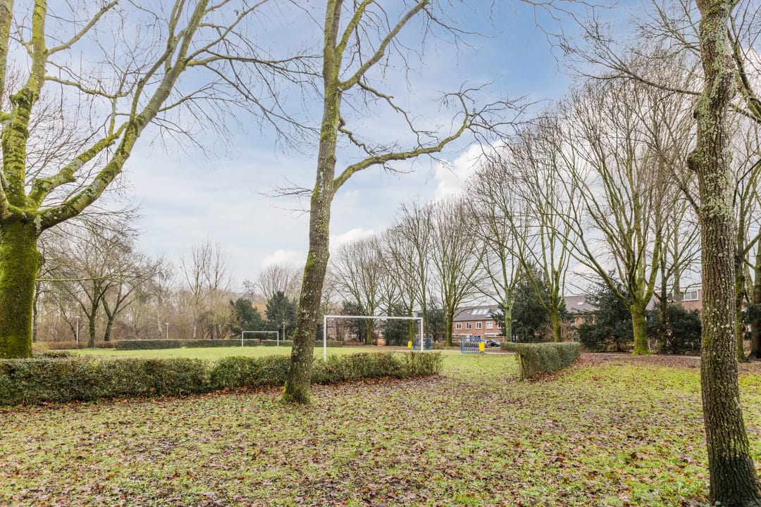 Foto 53 van Elzekrulzoom 55