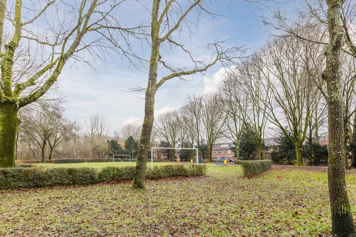 Foto 53 van Elzekrulzoom 55