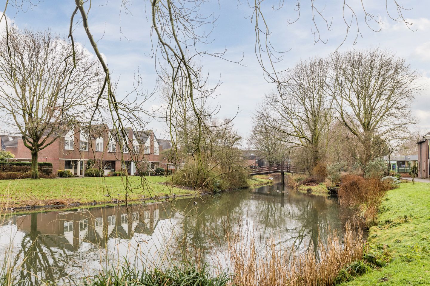 Foto 55 van Elzekrulzoom 55