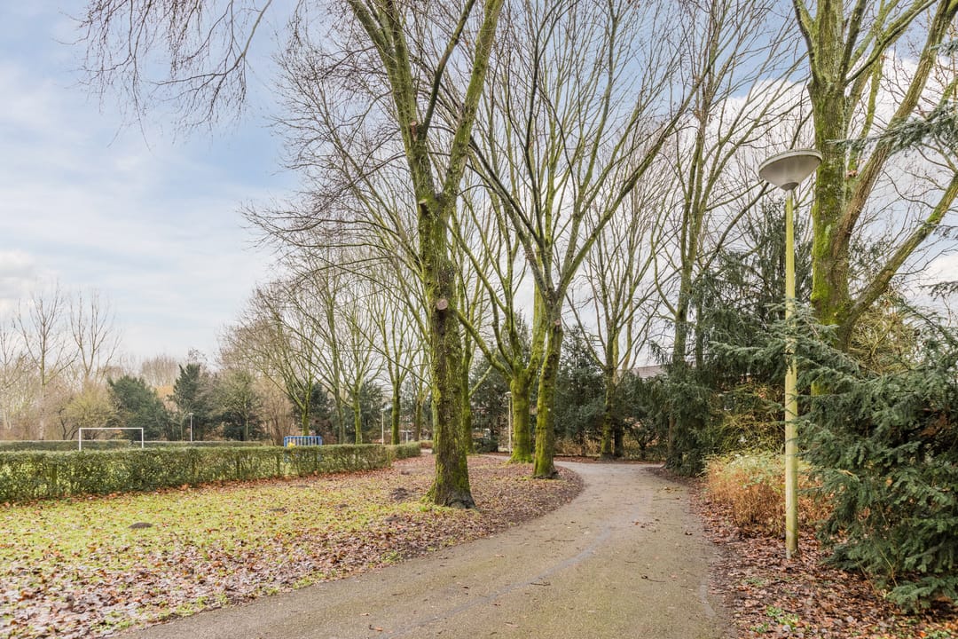 Foto 56 van Elzekrulzoom 55