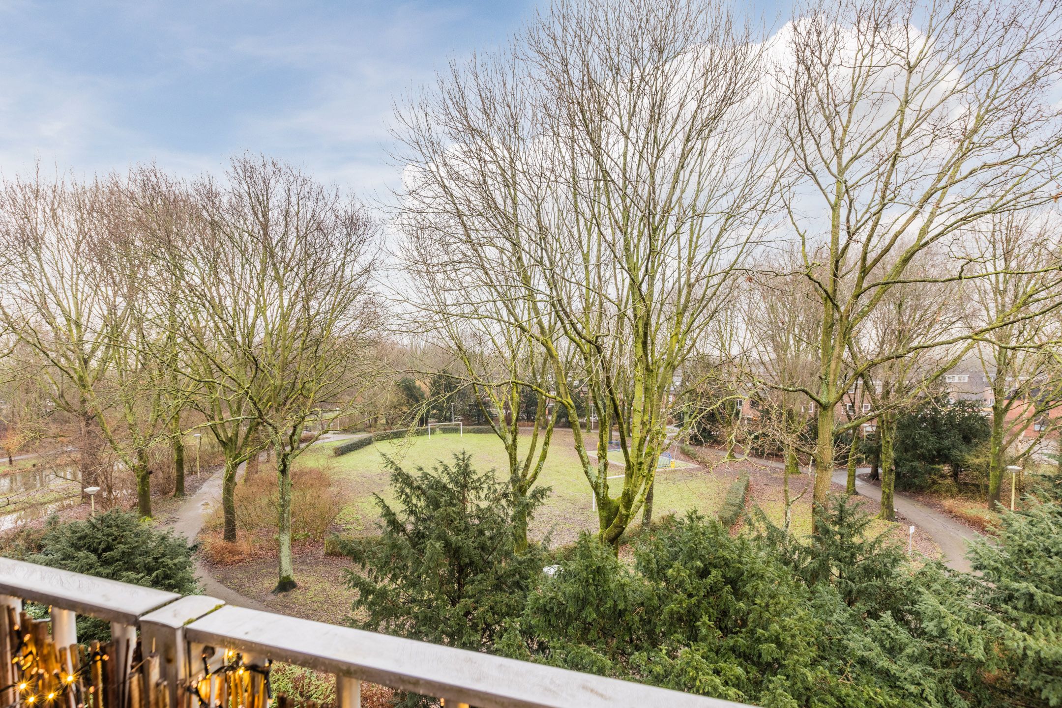 Foto 45 van Elzekrulzoom 55