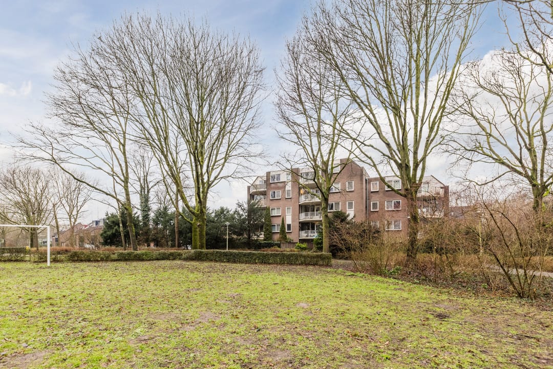 Foto 58 van Elzekrulzoom 55