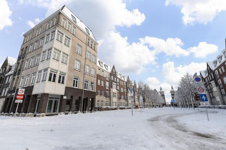 undefined main image