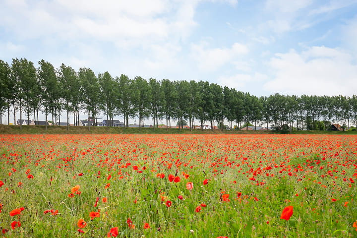 Foto 25 van Nieuwlandseweg 176