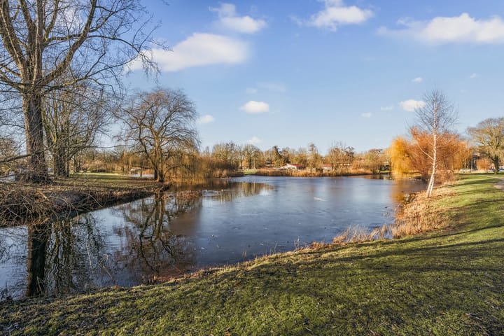 Foto 45 van Welschapstraat 7