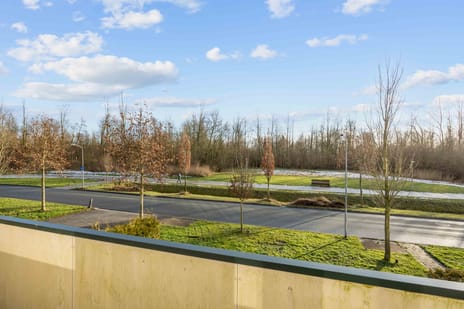 Waldadrift 58 secondary image