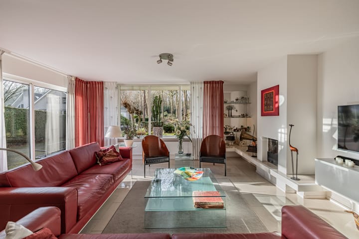 Foto 3 van Van Driellaan 7