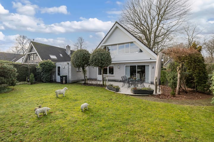 Foto 30 van Van Driellaan 7