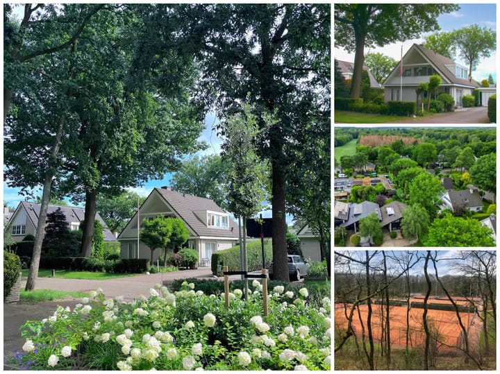 Foto 35 van Van Driellaan 7