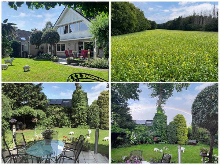 Foto 36 van Van Driellaan 7