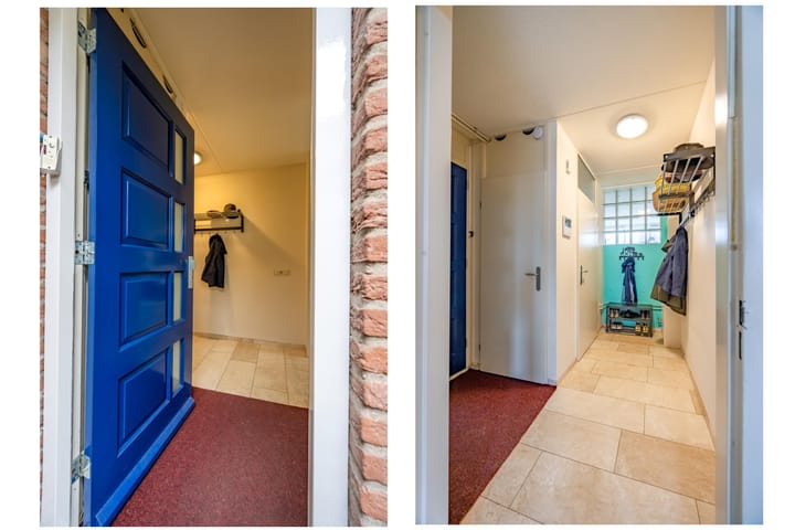 Foto 4 van Fluitekruid 64