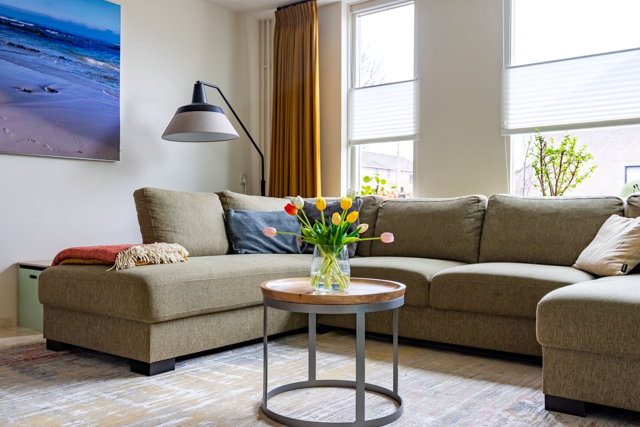 Foto 6 van Fluitekruid 64