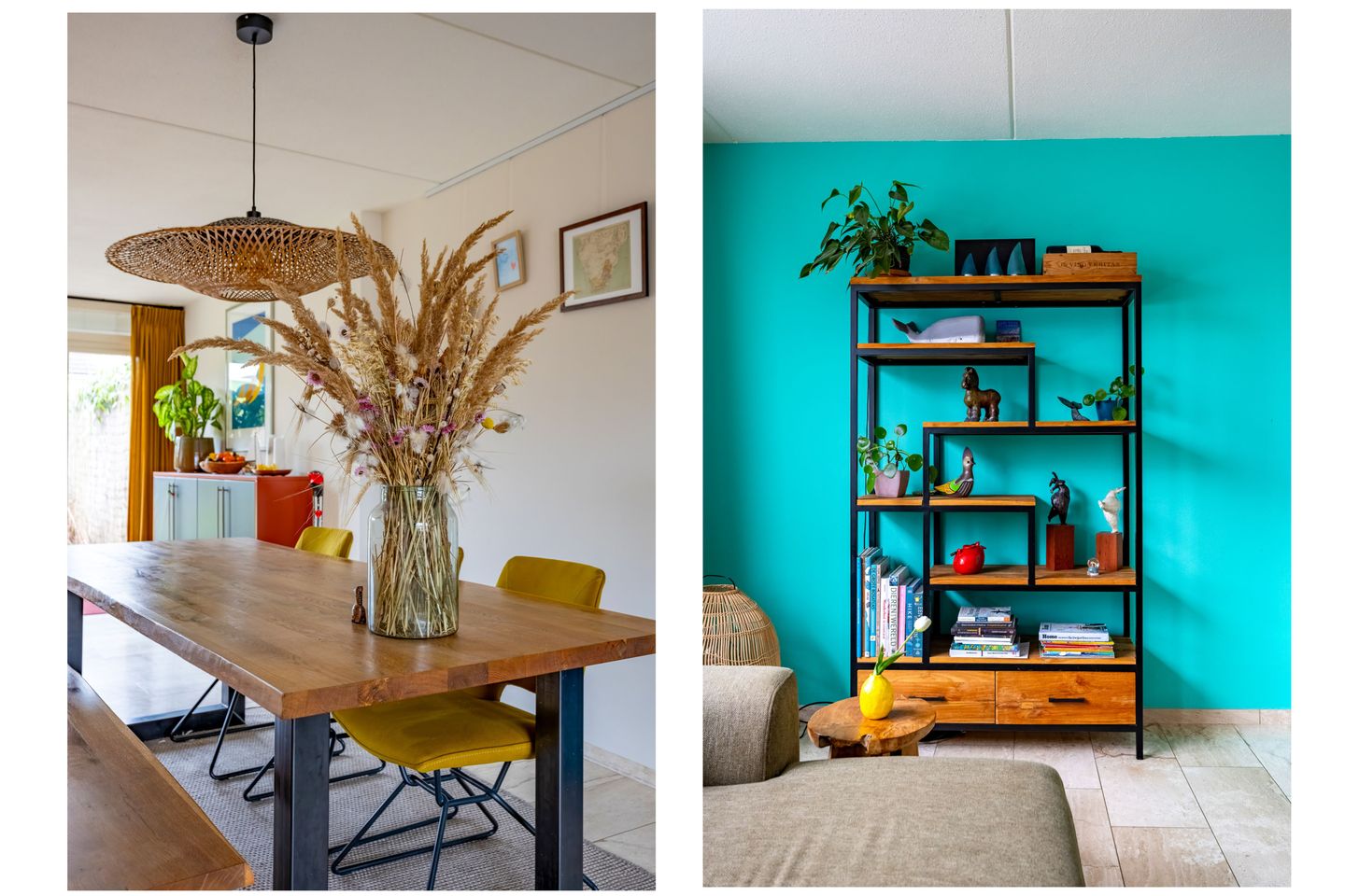 Foto 10 van Fluitekruid 64