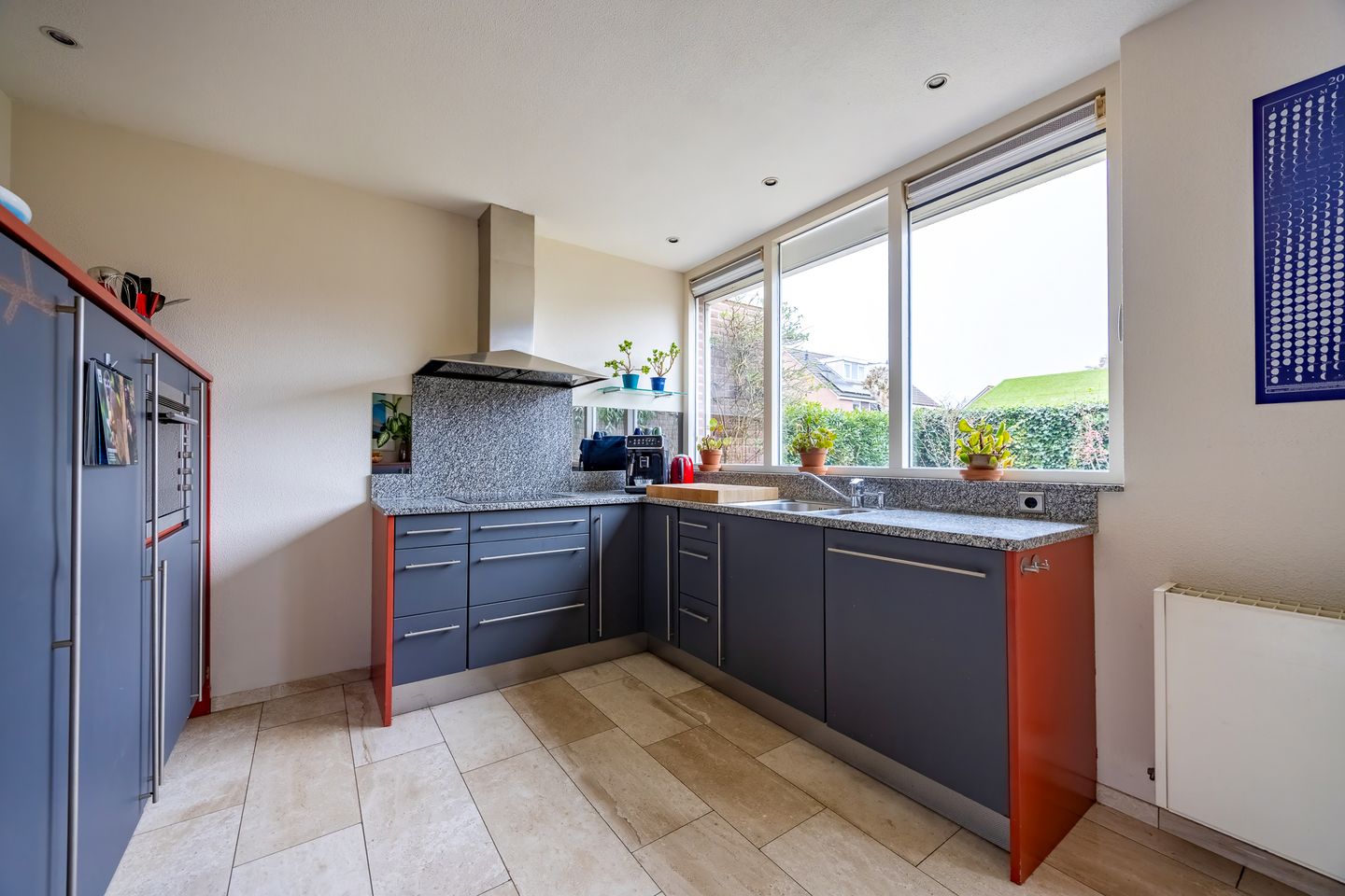 Foto 14 van Fluitekruid 64