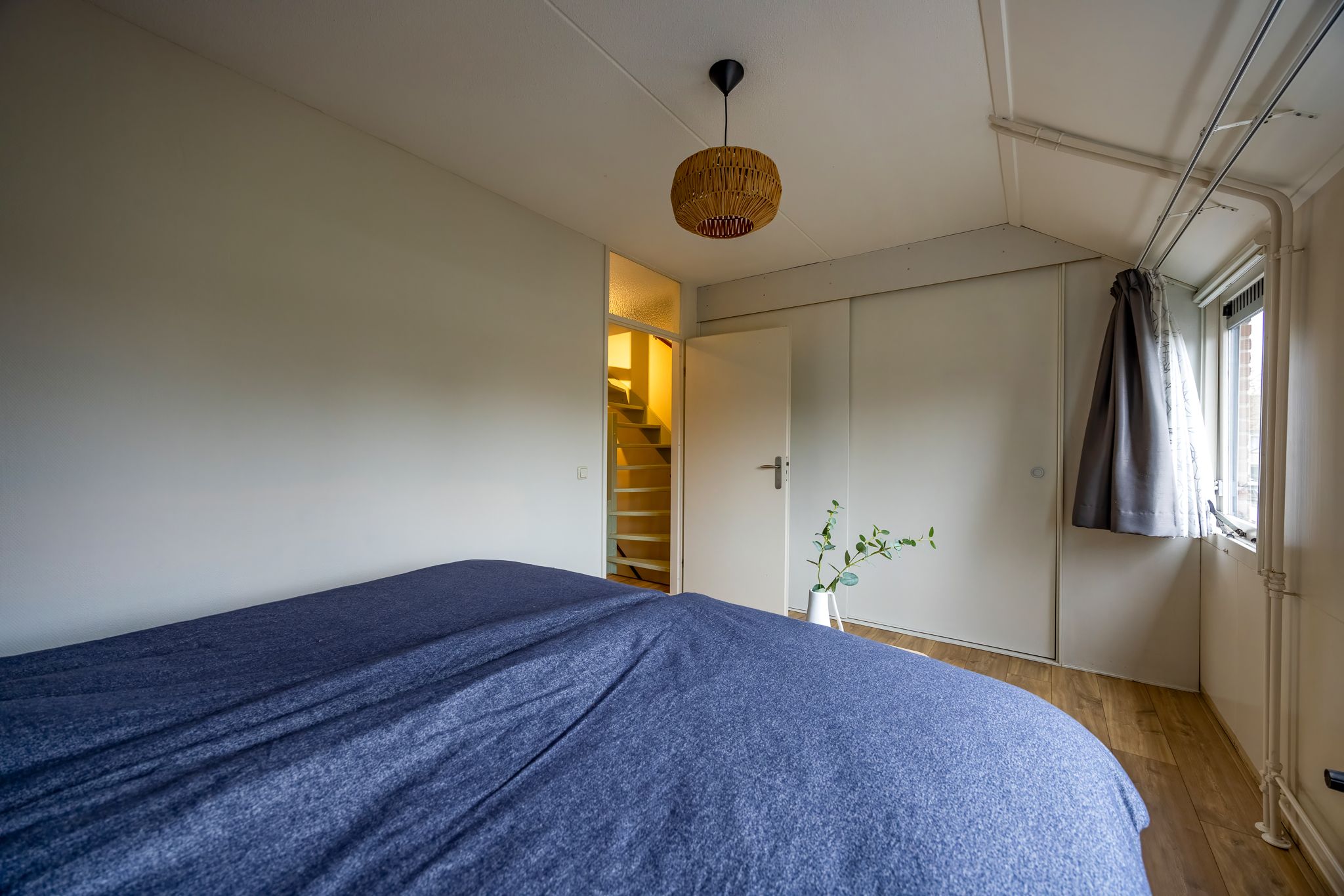 Foto 18 van Fluitekruid 64