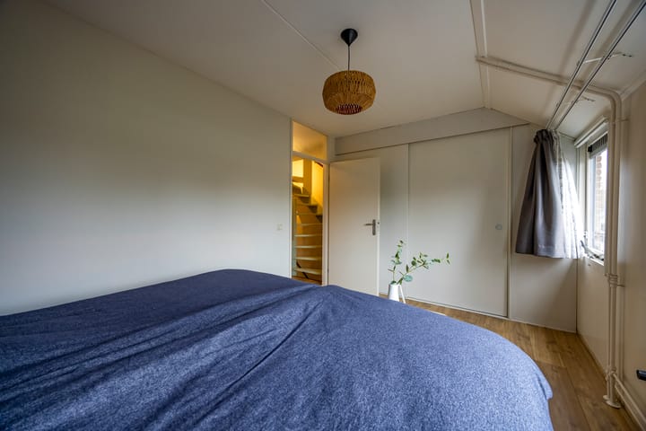 Foto 18 van Fluitekruid 64