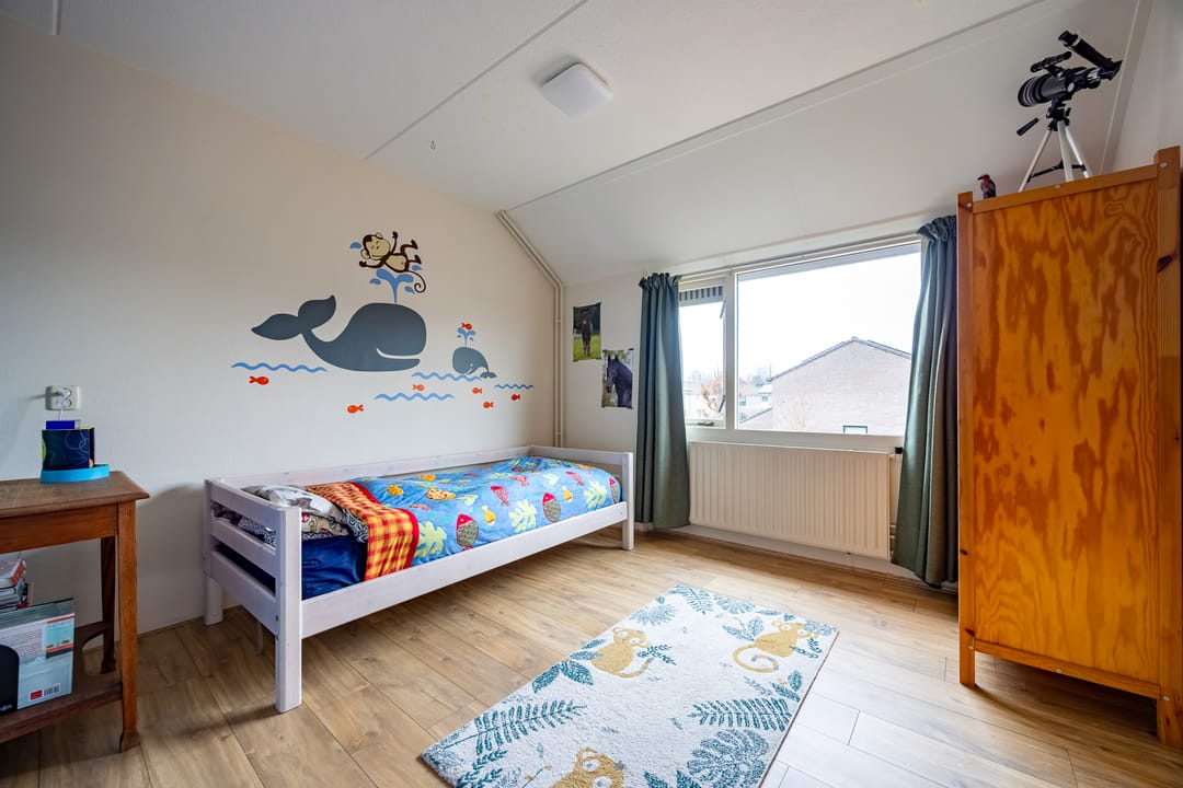 Foto 23 van Fluitekruid 64