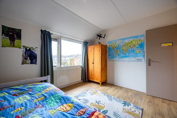 Foto 24 van Fluitekruid 64