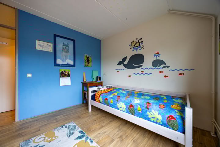 Foto 25 van Fluitekruid 64