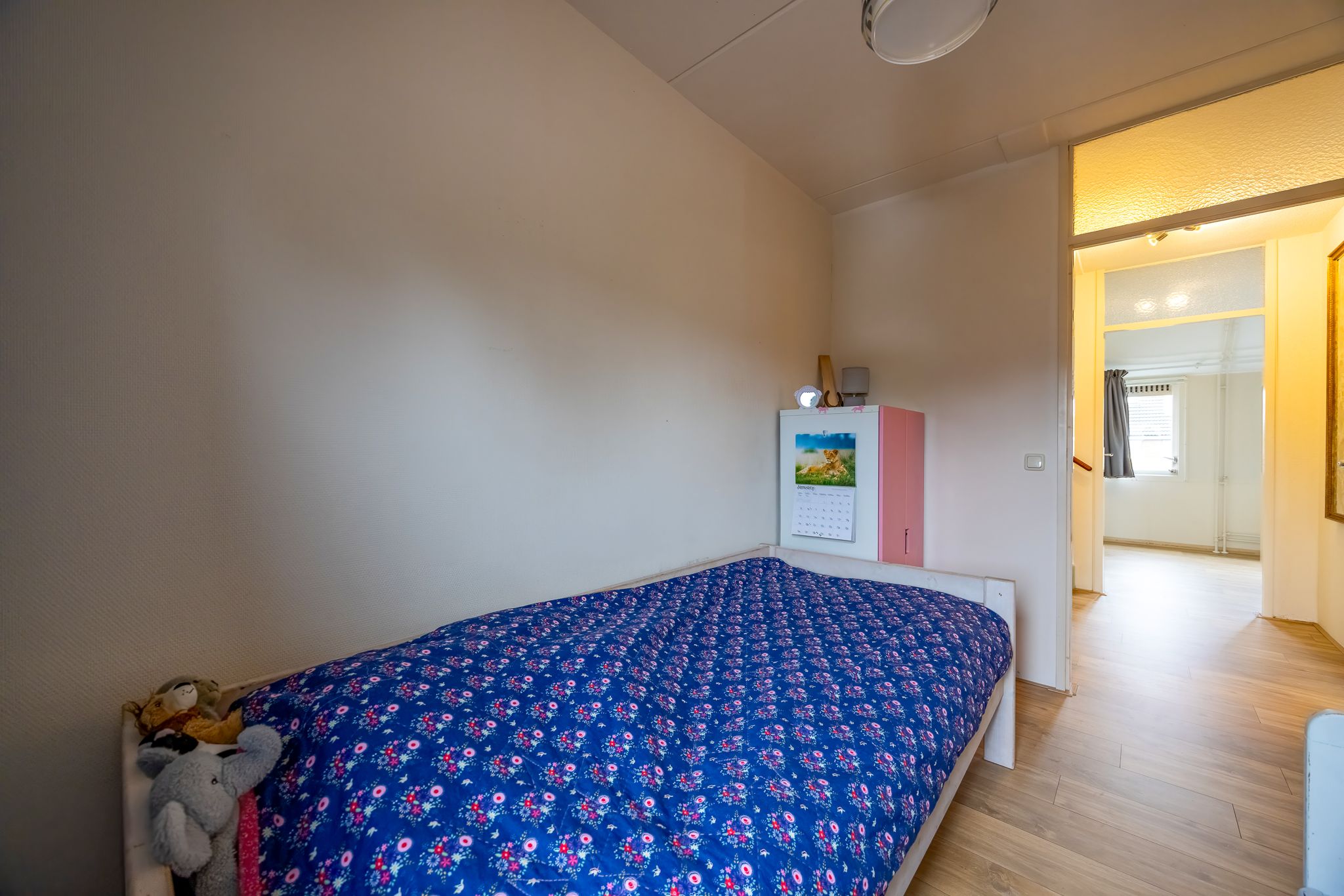 Foto 27 van Fluitekruid 64