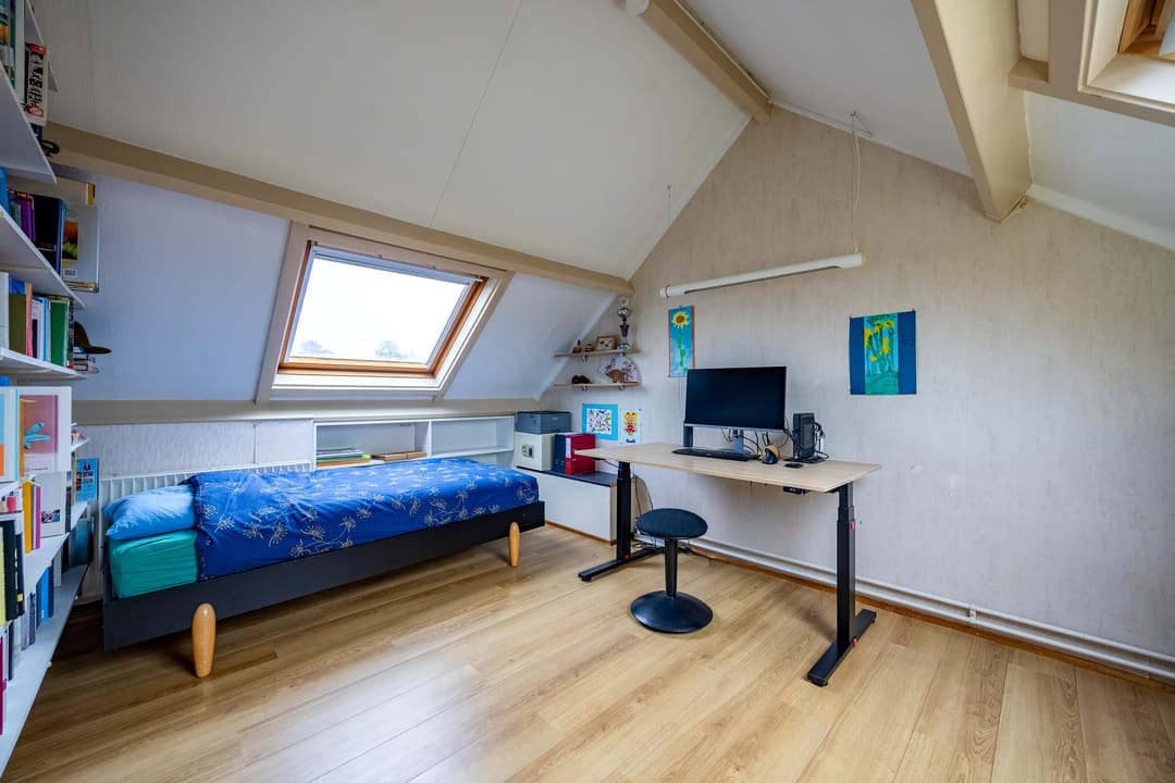 Foto 32 van Fluitekruid 64